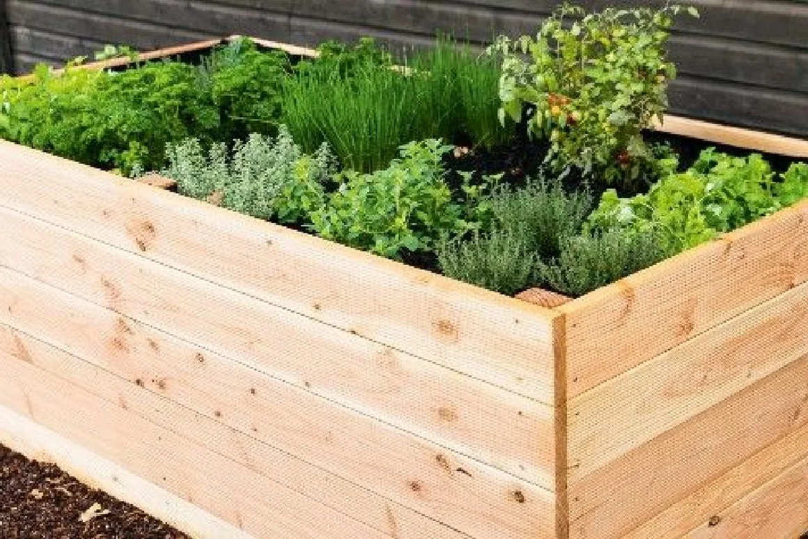 Hochbeet aus Holz mit verschiedenen Kräutern